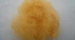 到底什么是纖維？用途又是什么呢？